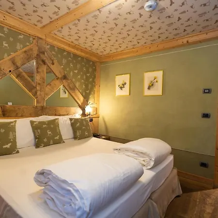 Hotel Bucaneve 4*